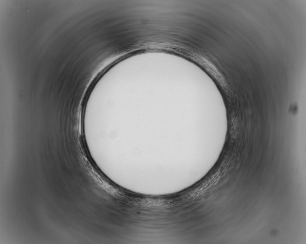 X0000097981036200804211033