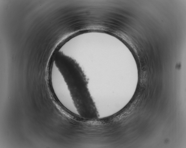 X0000097981037200804211033