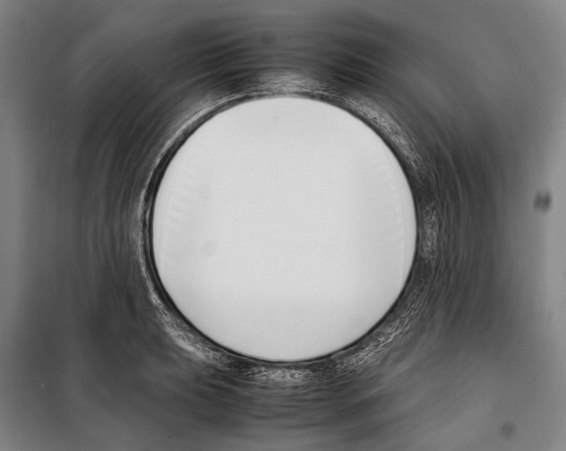 X0000097981039200804211033