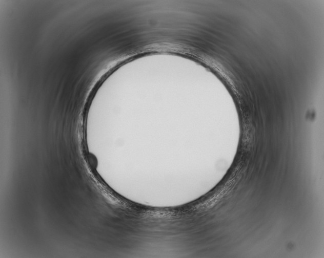 X0000097981040200804211033