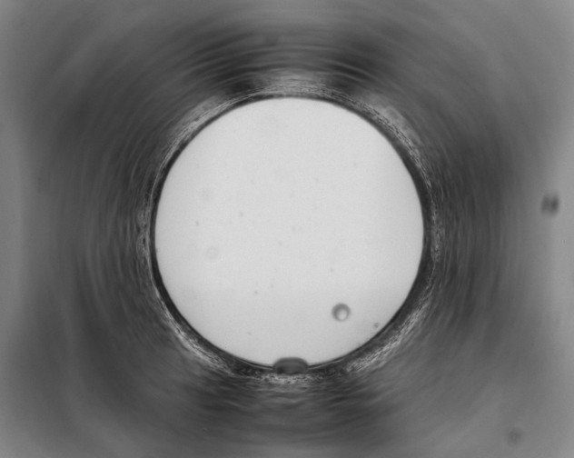 X0000097981041200804211033