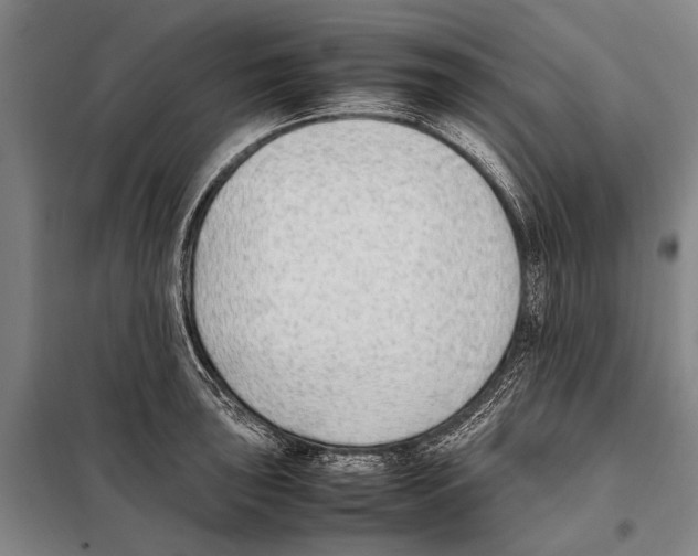 X0000097981043200804211033