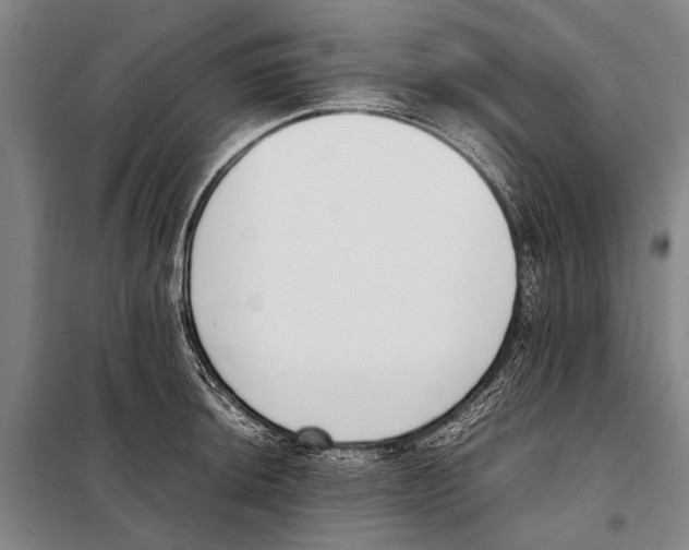 X0000097981044200804211033