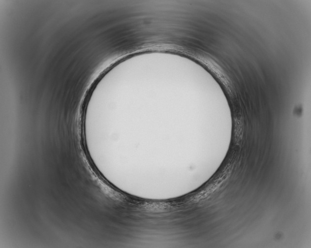 X0000097981046200804211033