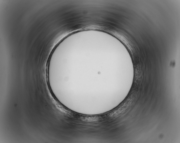 X0000097981047200804211033