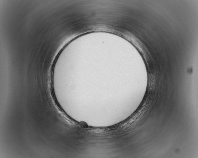 X0000097981048200804211033