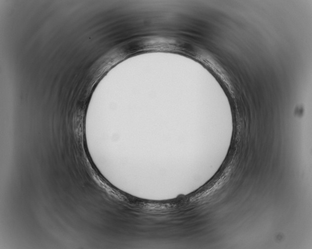 X0000097981049200804211033