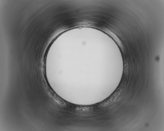 X0000097981051200804211033