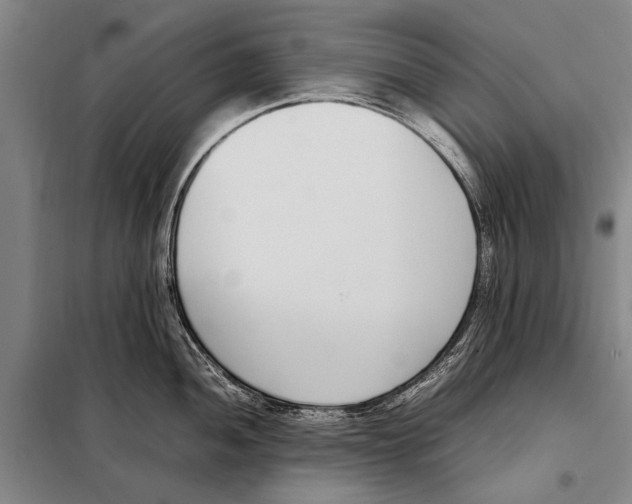 X0000097981052200804211033