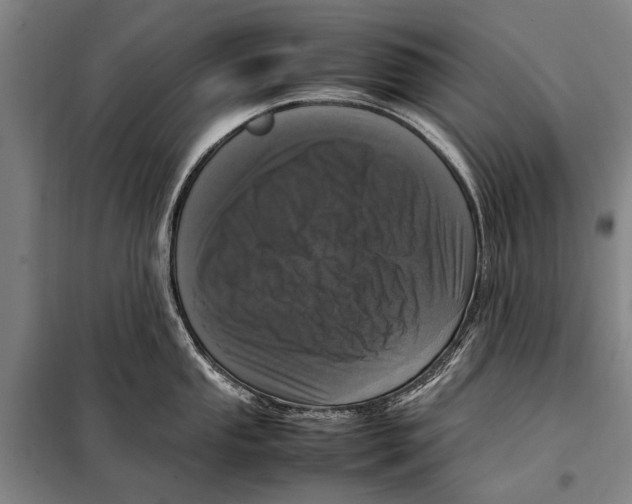 X0000097981053200804211033