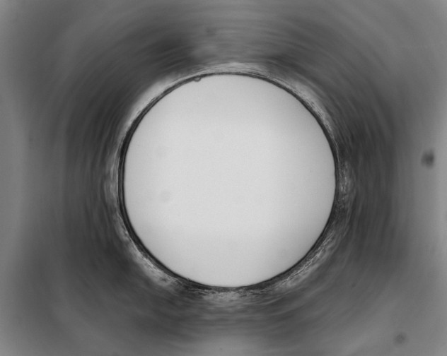 X0000097981054200804211033