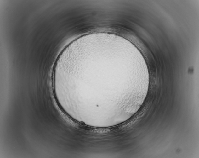 X0000097981055200804211033