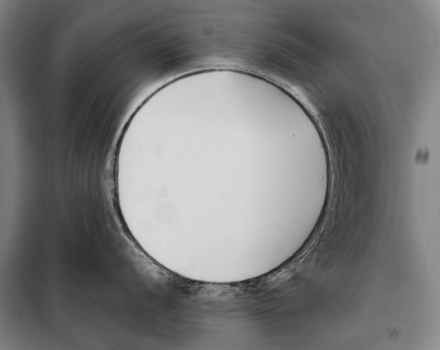 X0000097981056200804211033