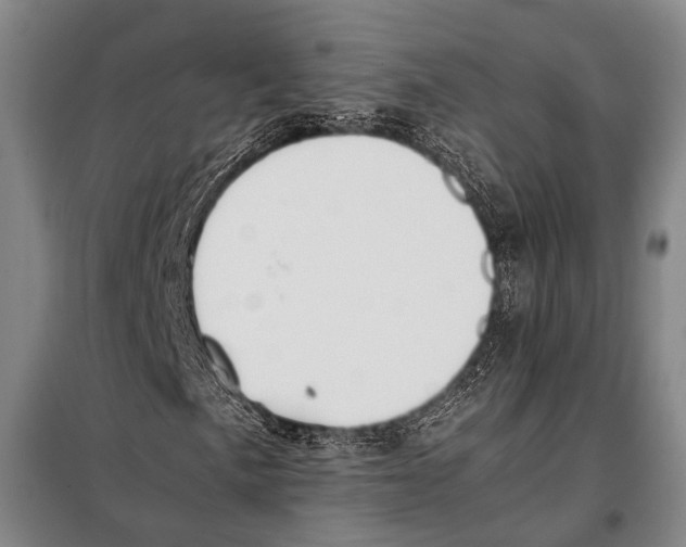 X0000097981057200804211032