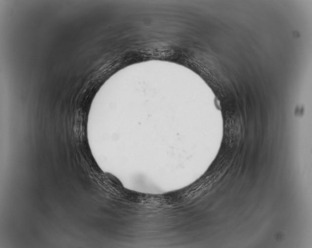 X0000097981058200804211032