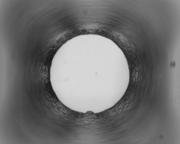 X0000097981062200804211032