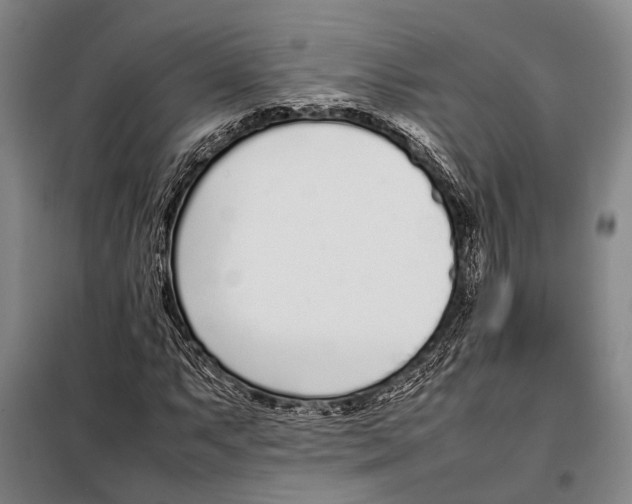 X0000097981063200804211032