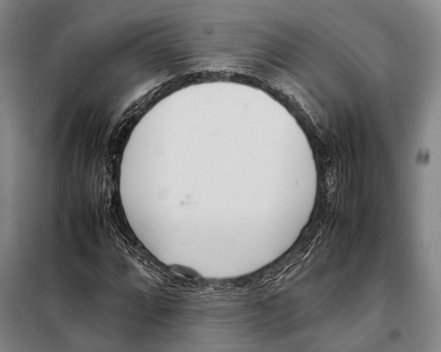 X0000097981064200804211032