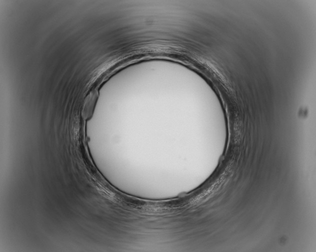 X0000097981065200804211032