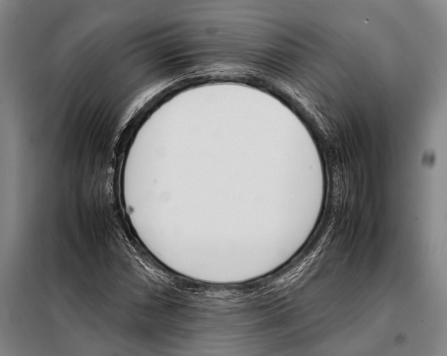 X0000097981066200804211032