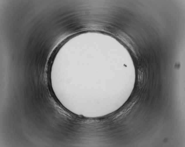 X0000097981068200804211032