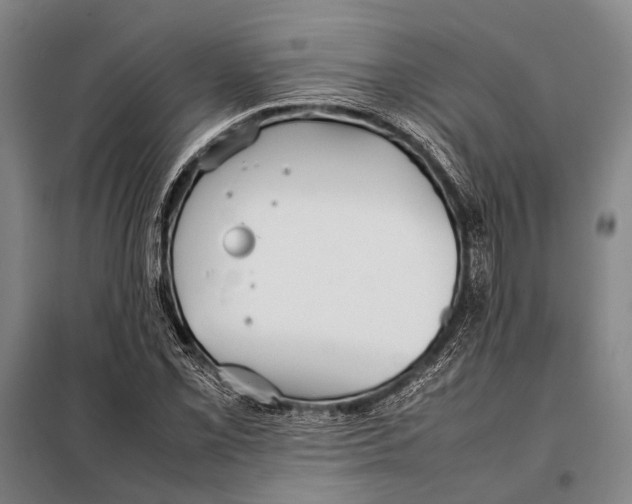 X0000097981069200804211032