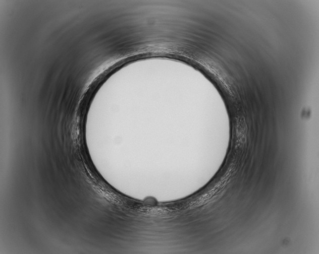 X0000097981070200804211032