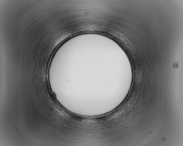 X0000097981073200804211032