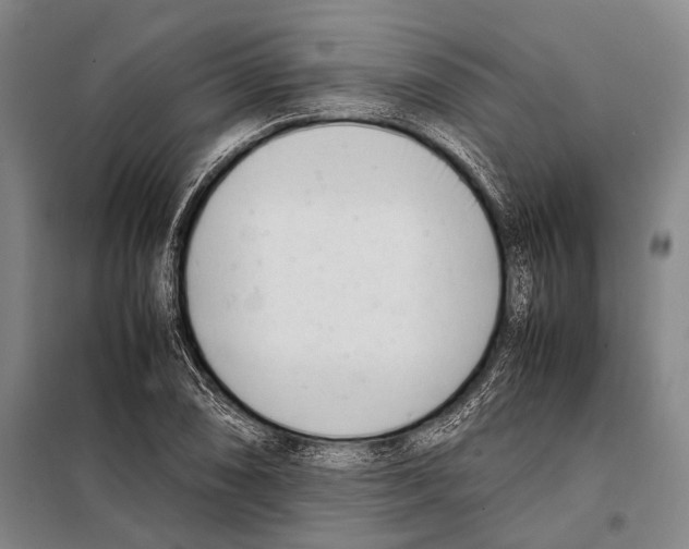 X0000097981074200804211032