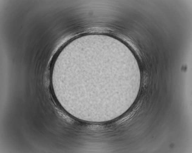 X0000097981075200804211032