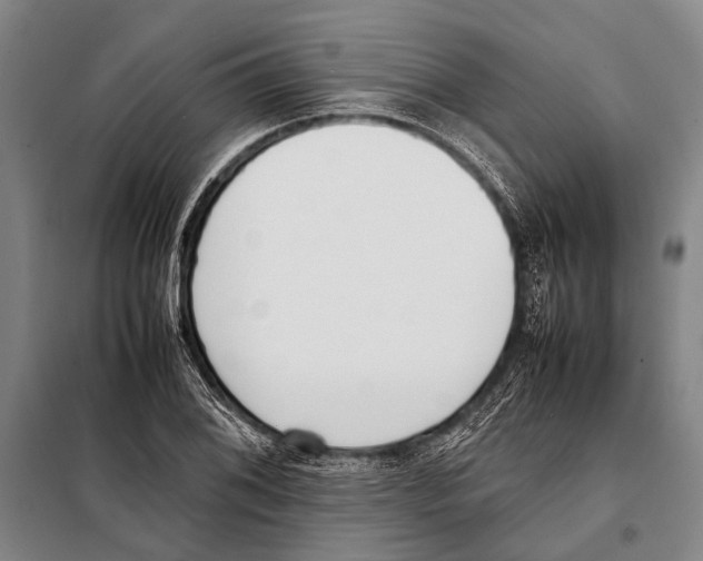 X0000097981076200804211032