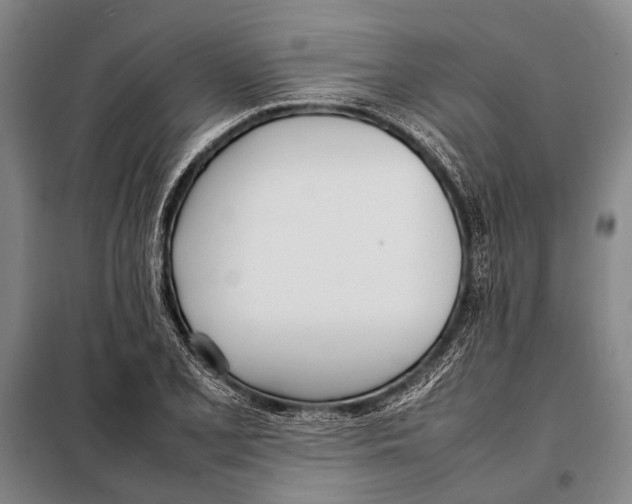 X0000097981077200804211032