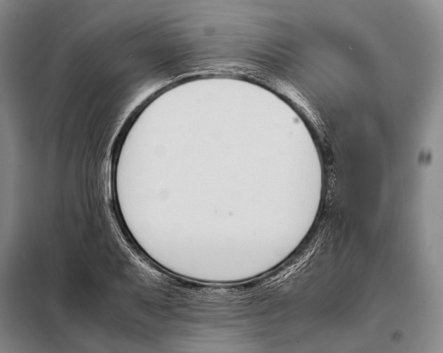 X0000097981079200804211032