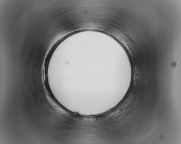 X0000097981080200804211032