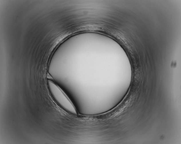 X0000097981081200804211032