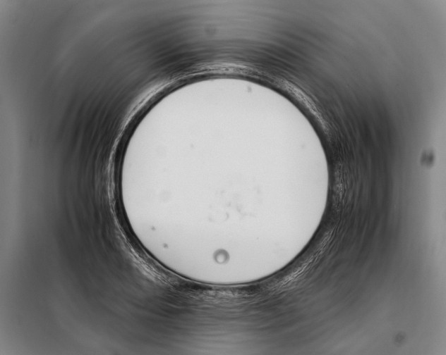 X0000097981082200804211032