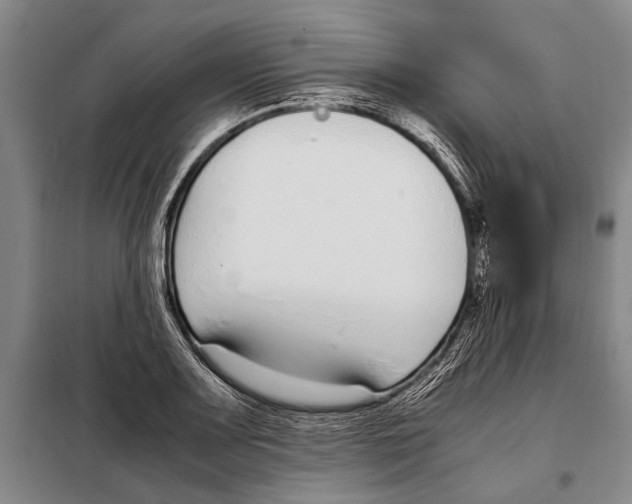 X0000097981083200804211032