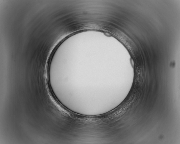 X0000097981084200804211032