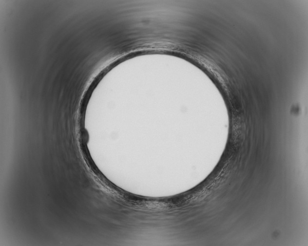 X0000097981085200804211032