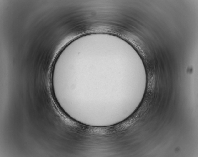 X0000097981086200804211032