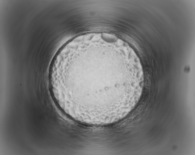 X0000097981087200804211032