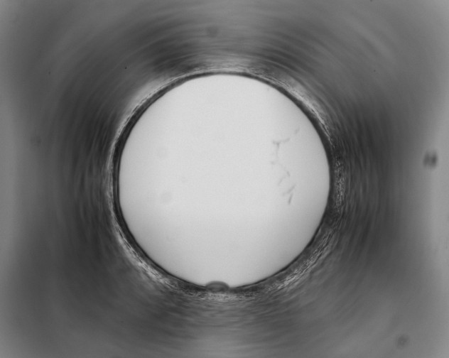 X0000097981088200804211032