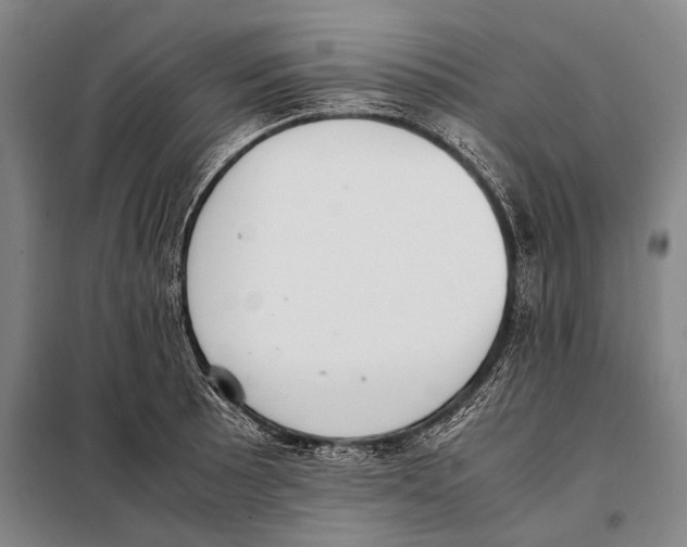 X0000097981089200804211032