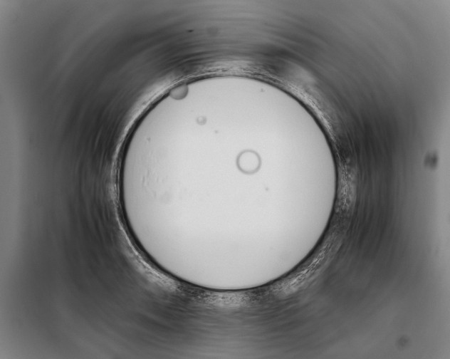 X0000097981090200804211032