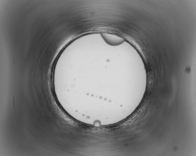 X0000097981091200804211031