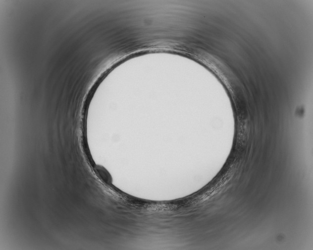 X0000097981093200804211031