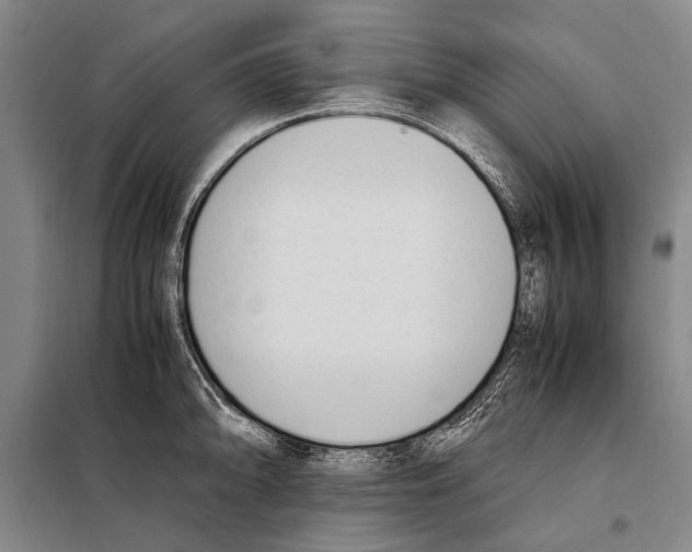 X0000097981094200804211031