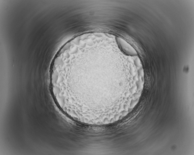 X0000097981095200804211031