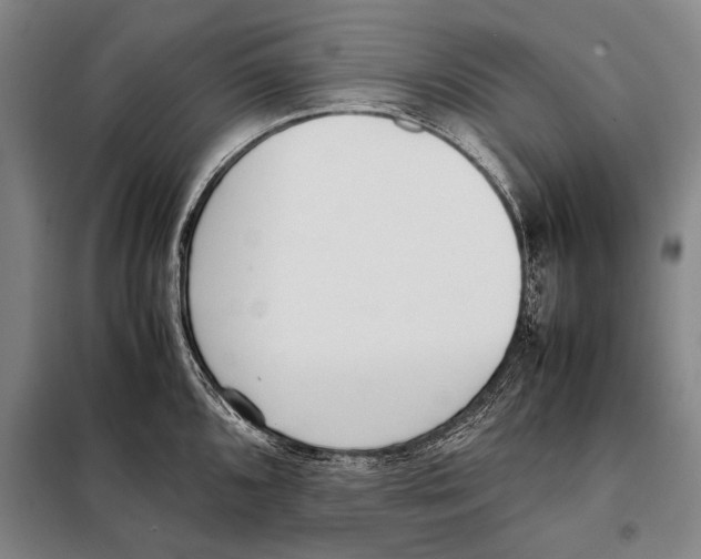 X0000097981096200804211031