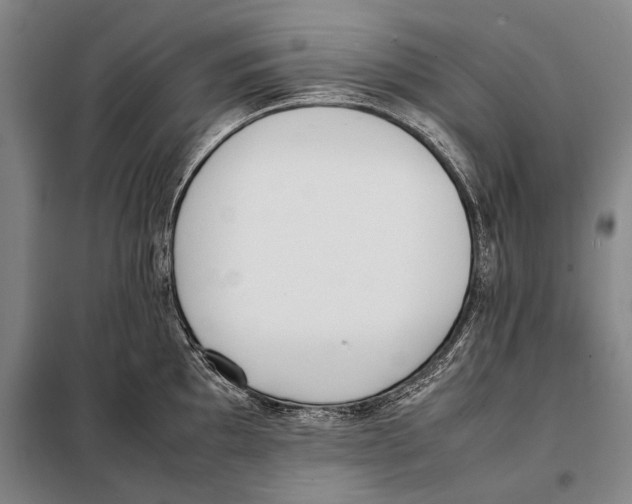 X0000097981097200804211031